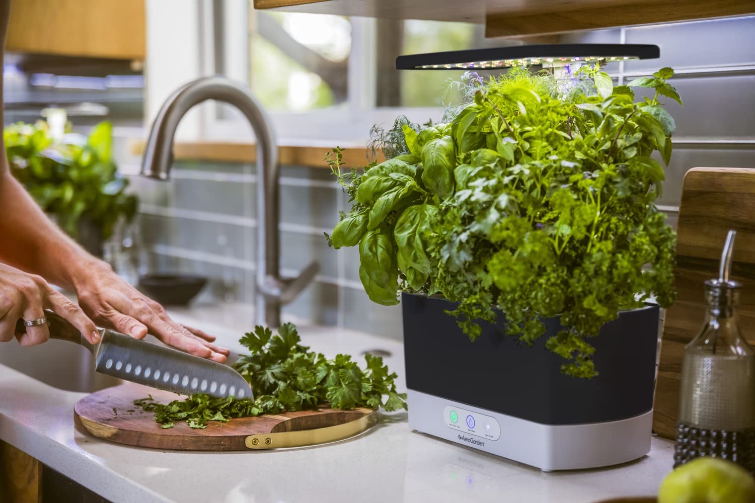 aerogarden smart garden review harvest 2